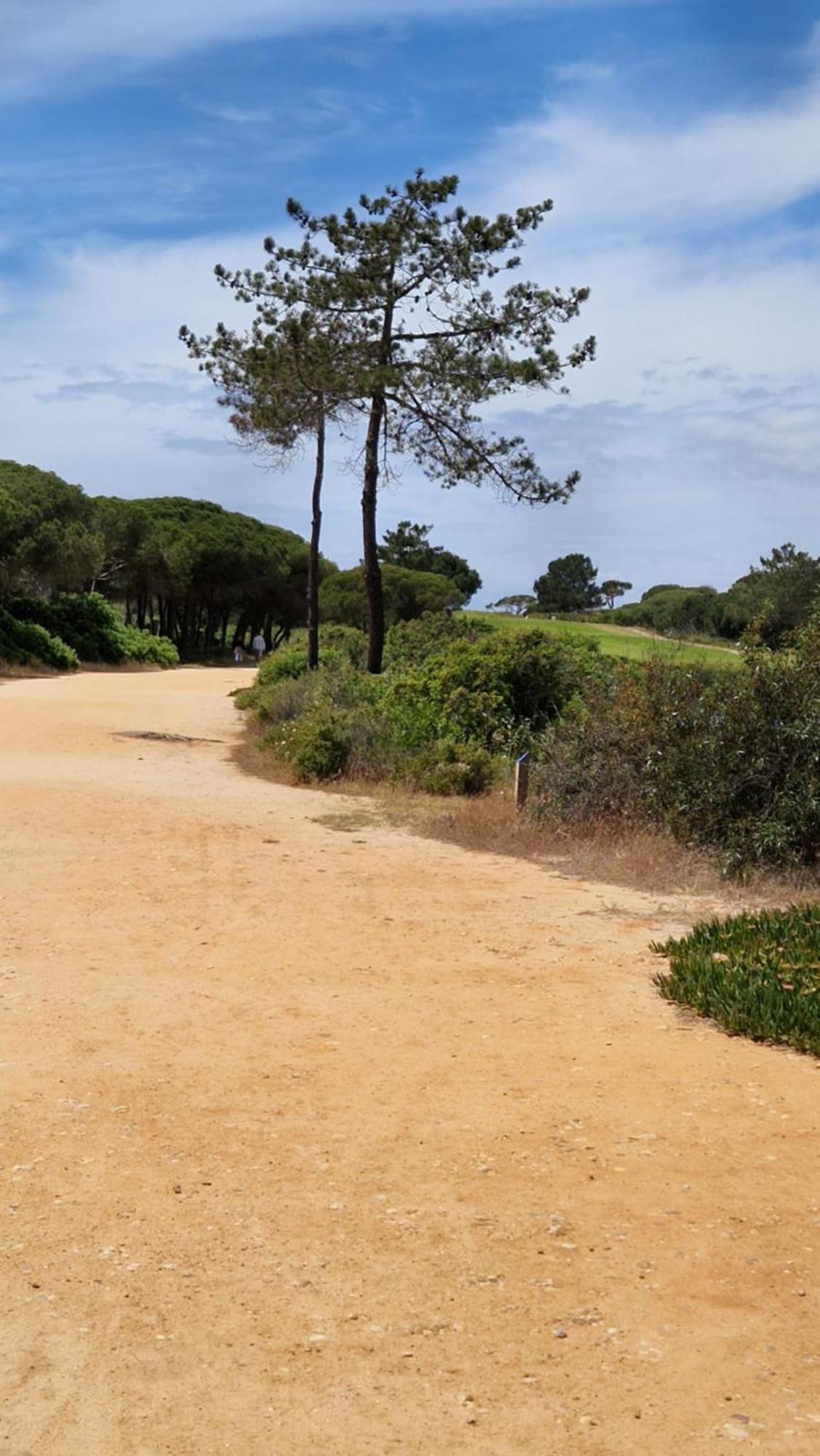 Domek V Srdci Fara District de District de Faro Extérieur photo
